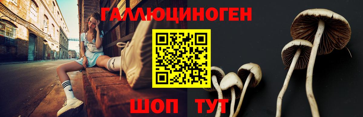 Элиста  Псилоцибиновые грибы Magic Shrooms  Псилоцибиновые грибы прущие грибы  Вход с VPN 
