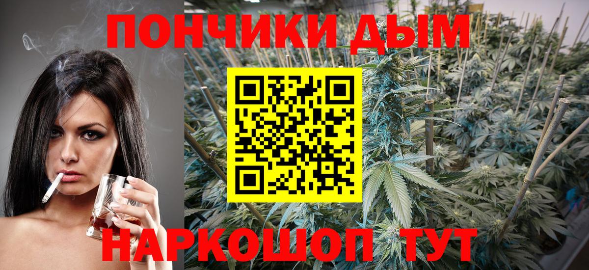 Бошки Шишки ГИДРОПОН Элиста